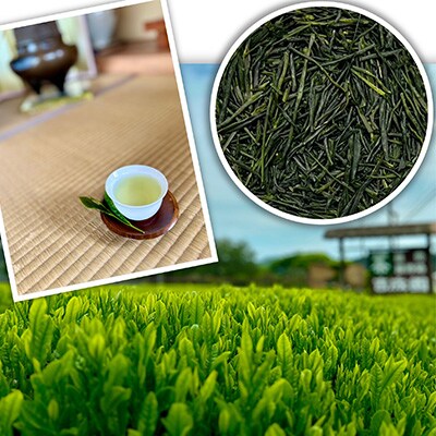 吉成園 品評会茶 200g×1缶