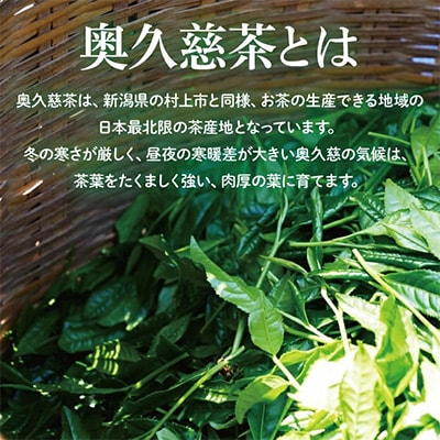 奥久慈茶詰合せ 煎茶100g×3本