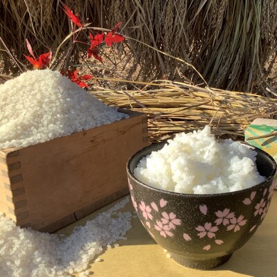 アミーゴ米 コシヒカリ 白米 2kg【栽培期間中農薬・化学肥料不使用】