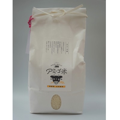 アミーゴ米 コシヒカリ 白米 3kg【栽培期間中農薬・化学肥料不使用】