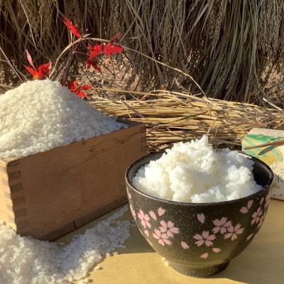 アミーゴ米 コシヒカリ 白米 3kg【栽培期間中農薬・化学肥料不使用】