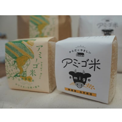 アミーゴ米 コシヒカリ【白米】真空キューブ米 2合(300g)×24個セット 計7.2kg