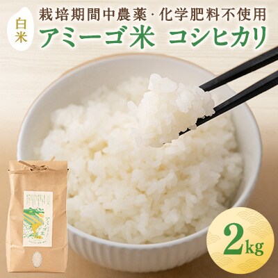 【2024年】アミーゴ米 コシヒカリ (6年目) 白米 2kg【栽培期間中農薬・化学肥料不使用】