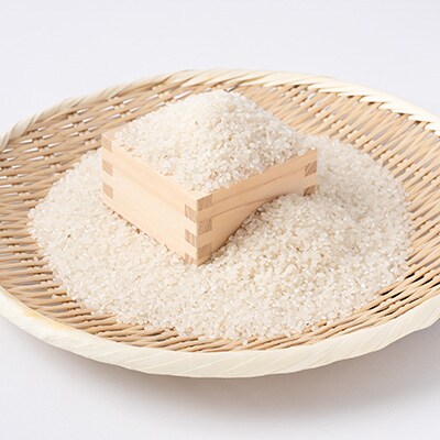 【2024年】アミーゴ米 コシヒカリ (6年目) 白米 2kg【栽培期間中農薬・化学肥料不使用】
