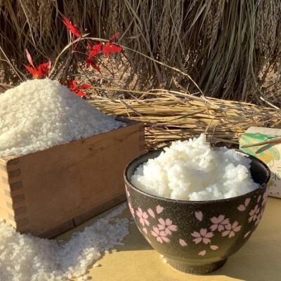 【2024年】アミーゴ米 コシヒカリ (6年目) 白米 3kg【栽培期間中農薬・化学肥料不使用】
