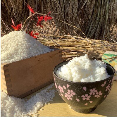 【2024年】アミーゴ米 コシヒカリ (6年目) 白米 5kg【栽培期間中農薬・化学肥料不使用】
