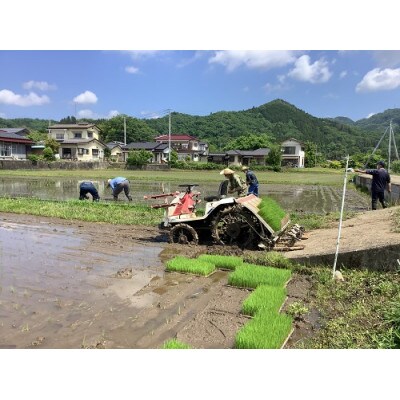 【2024年】アミーゴ米 コシヒカリ (6年目) 白米 5kg【栽培期間中農薬・化学肥料不使用】