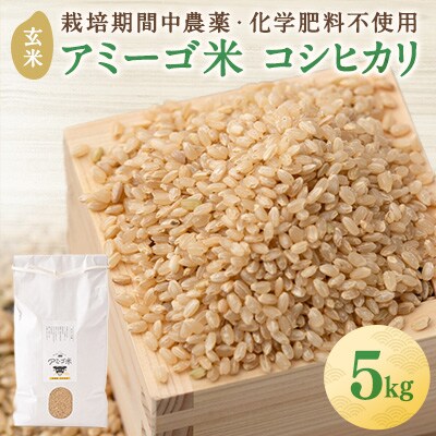 【2024年】アミーゴ米 コシヒカリ (6年目) 玄米 5kg【栽培期間中農薬・化学肥料不使用】