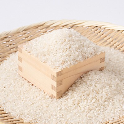 アミーゴ米 コシヒカリ【白米】真空キューブ米 2合(300g)×12個セット 計3.6kg