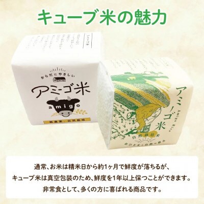 アミーゴ米 コシヒカリ【白米】真空キューブ米 2合(300g)×12個セット 計3.6kg