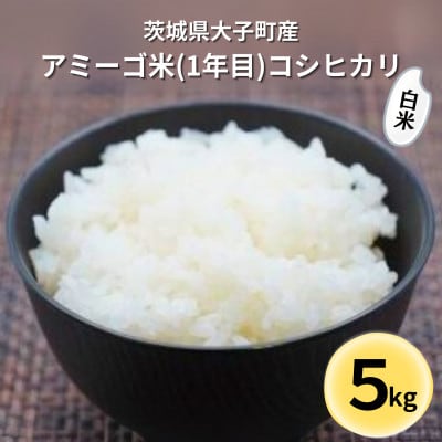 【新米先行予約】アミーゴ米コシヒカリ5kg(1年目・白米)【11月中旬から順次出荷】|茨城県大子町
