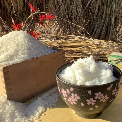 【新米先行予約】アミーゴ米コシヒカリ5kg(1年目・白米)【11月中旬から順次出荷】|茨城県大子町