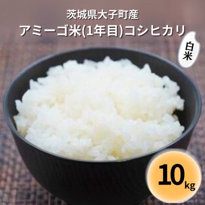 【新米先行予約】アミーゴ米コシヒカリ10kg(1年目・白米)【11月中旬から順次出荷】|茨城県大子町