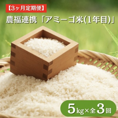 【毎月定期便】アミーゴ米  5kg【白米】(コシヒカリ・天日干し米 ・1年目)茨城県 大子町全3回