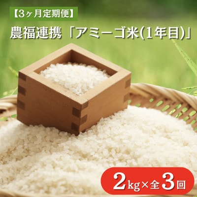 【毎月定期便】アミーゴ米  2kg【白米】(コシヒカリ・天日干し米・1年目)|茨城県 大子町全3回