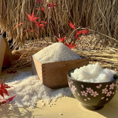 【毎月定期便】アミーゴ米  2kg【白米】(コシヒカリ・天日干し米・1年目)|茨城県 大子町全3回