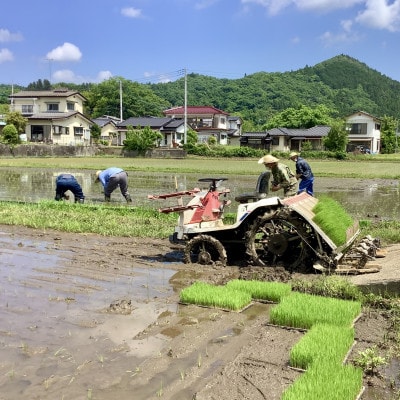 【毎月定期便】アミーゴ米  2kg【白米】(コシヒカリ・天日干し米・1年目)|茨城県 大子町全3回
