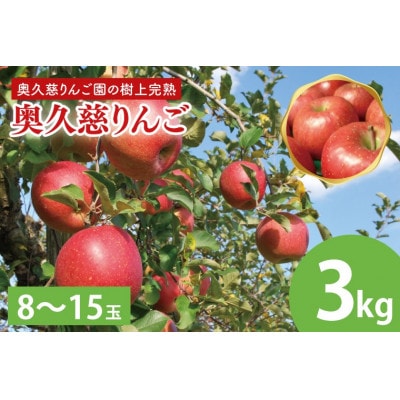 【2026年9月中旬頃より順次発送】奥久慈りんご園の樹上完熟 奥久慈りんご 3kg(8～15玉)
