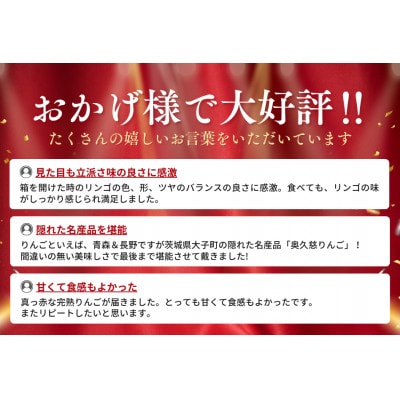 【2026年9月中旬頃より順次発送】奥久慈りんご園の樹上完熟 奥久慈りんご 10kg(30～40玉)