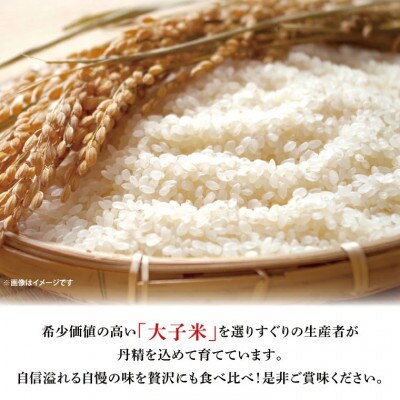 厳選大子産米・生産者別 贅沢三味 コシヒカリ 5kg×3袋 白米