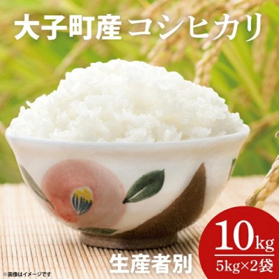 厳選大子産米・生産者別 贅沢三味 コシヒカリ 5kg×2袋 白米