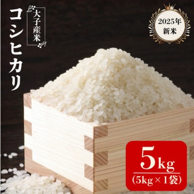 大子産米コシヒカリ(精米)5kg　茨城県 大子町 こしひかり 白米 新米 令和7年産