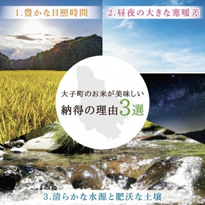 大子産米コシヒカリ(精米)5kg　茨城県 大子町 こしひかり 白米 新米 令和7年産