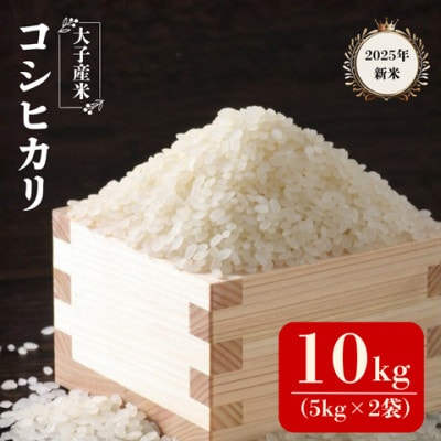 大子産米コシヒカリ(精米)10kg　茨城県 大子町 こしひかり 白米 新米 令和7年産