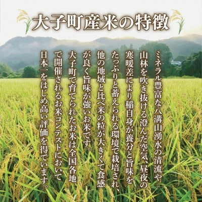 大子産米 ゆうだい21(精米)20kg(5kg×4袋)茨城県 大子町 白米 新米 令和7年産
