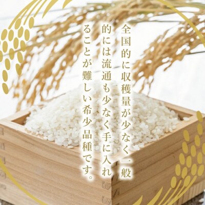 【特別優秀賞・国際総合部門】大子産米 ゆうだい21 3kg|茨城県 大子町 白米 数量限定 受賞米