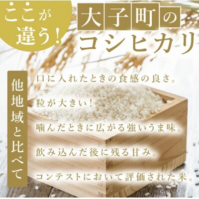 【銀賞受賞】大子産米 コシヒカリ 3kg|茨城県 大子町 白米 受賞米 数量限定