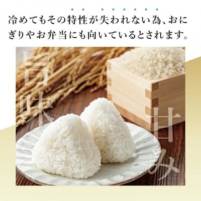 【銀賞受賞】大子産米 コシヒカリ 3kg|茨城県 大子町 白米 受賞米 数量限定
