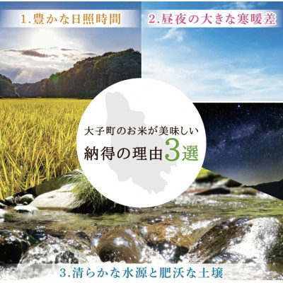 【毎月定期便】大子産米 コシヒカリ (精米) 10kg×2回お届け 茨城県 大子町全2回