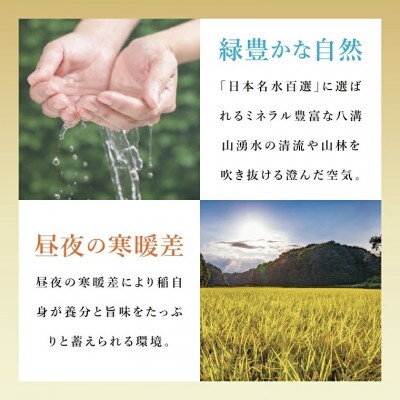 【毎月定期便】大子産米 コシヒカリ 5kg 精米全3回