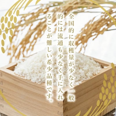 【毎月定期便】大子産米 ゆうだい21 (精米)10kg×全3回