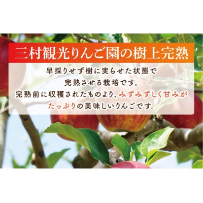 【三村観光りんご園】樹上完熟 奥久慈りんごジュース 720ml×2本セット|茨城県 大子町