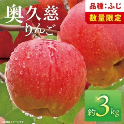 奥久慈りんご「ふじ」約3kg【三村観光りんご園】【数量限定】【11月以降順次発送予定】茨城県 大子町