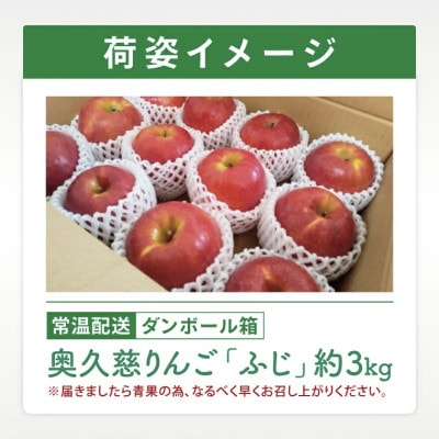 奥久慈りんご「ふじ」約3kg【三村観光りんご園】【数量限定】【11月以降順次発送予定】茨城県 大子町