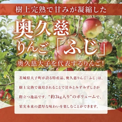 奥久慈りんご「ふじ」約3kg【三村観光りんご園】【数量限定】【11月以降順次発送予定】茨城県 大子町