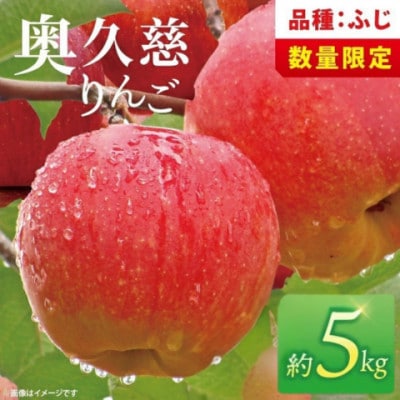 奥久慈りんご「ふじ」約5kg【三村観光りんご園】【数量限定】【11月以降順次発送予定】茨城県 大子町