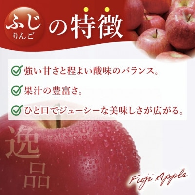 奥久慈りんご「ふじ」約5kg【三村観光りんご園】【数量限定】【11月以降順次発送予定】茨城県 大子町
