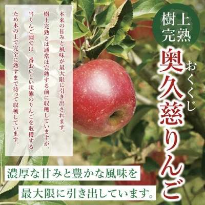 奥久慈りんご「ふじ」約5kg【三村観光りんご園】【数量限定】【11月以降順次発送予定】茨城県 大子町