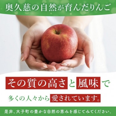 奥久慈りんご「ふじ」約5kg【三村観光りんご園】【数量限定】【11月以降順次発送予定】茨城県 大子町