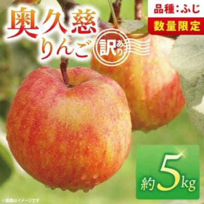 【訳あり】奥久慈りんご「ふじ 」約5kg 【三村観光りんご園】【11月以降順次発送予定】茨城県 大子
