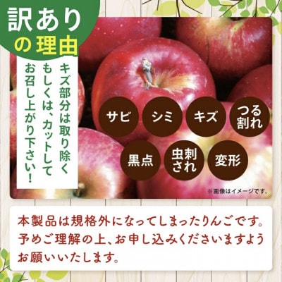 【訳あり】奥久慈りんご「ふじ 」約5kg 【三村観光りんご園】【11月以降順次発送予定】茨城県 大子