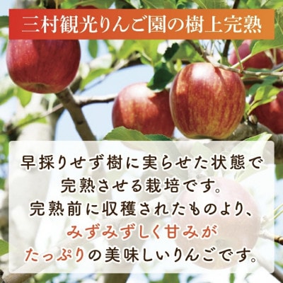 【訳あり】奥久慈りんご「ふじ 」約5kg 【三村観光りんご園】【11月以降順次発送予定】茨城県 大子