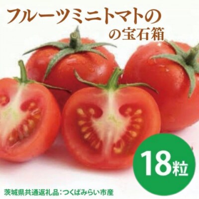 フルーツミニトマトの宝石箱18粒(茨城県共通返礼品:つくばみらい市)