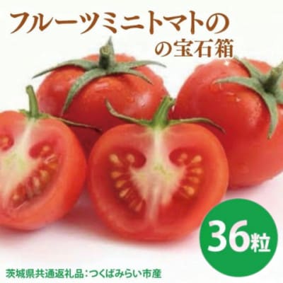 フルーツミニトマトの宝石箱 36粒(茨城県共通返礼品:つくばみらい市)