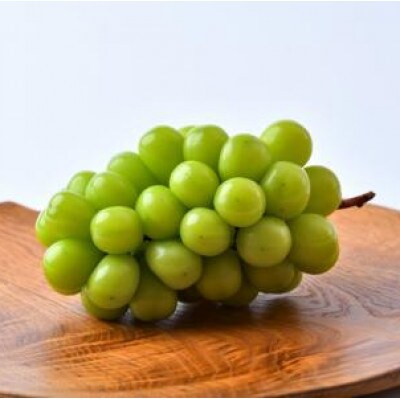 シャインマスカット 4房(茨城県共通返礼品:かすみがうら市)