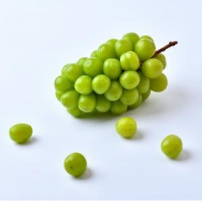 シャインマスカット 4房(茨城県共通返礼品:かすみがうら市)